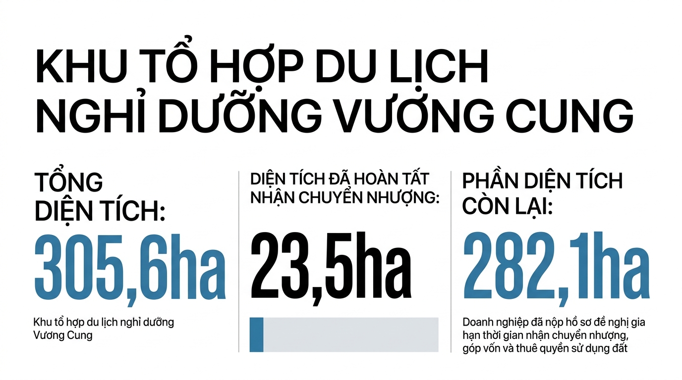 Infographic